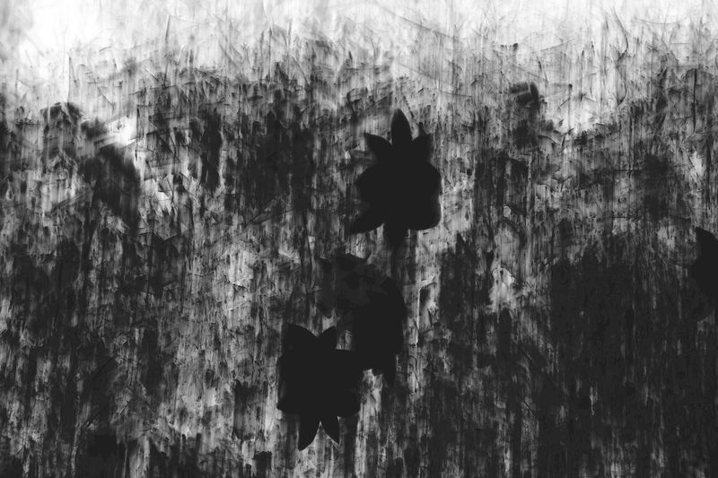 © SARAB COLLECTIVE  - Image from the AFTER MEANING photography project