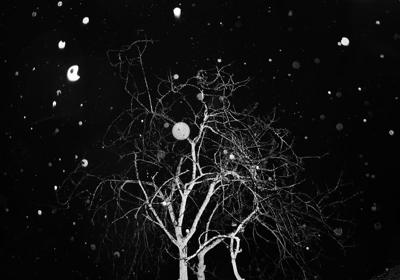 © SARAB COLLECTIVE  - Image from the AFTER MEANING photography project