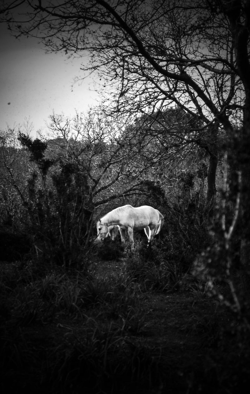 © SARAB COLLECTIVE  - Image from the AFTER MEANING photography project