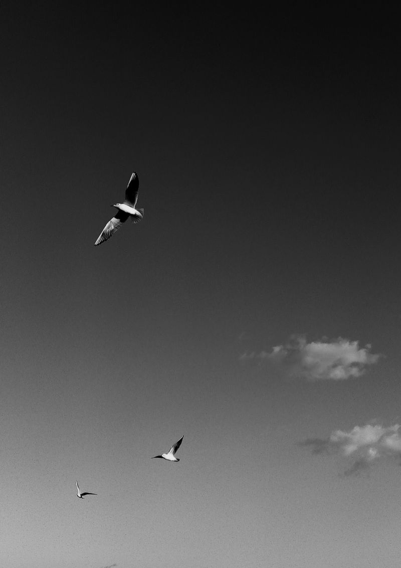 © SARAB COLLECTIVE  - Image from the AFTER MEANING photography project