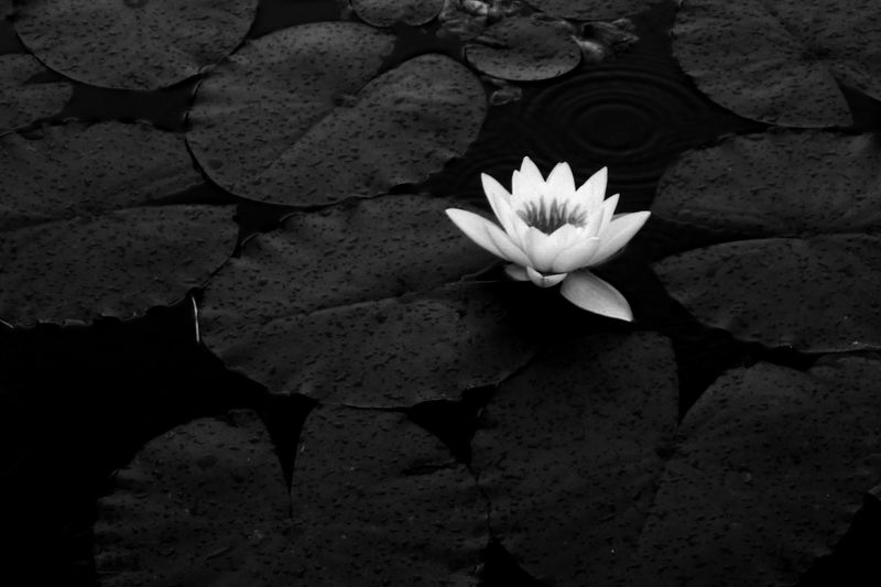 © SARAB COLLECTIVE  - Image from the AFTER MEANING photography project