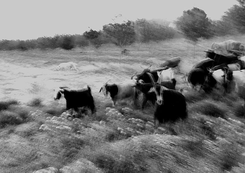 © SARAB COLLECTIVE  - Image from the AFTER MEANING photography project