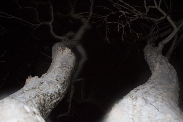 © SARAB COLLECTIVE  - Image from the insomnia photography project