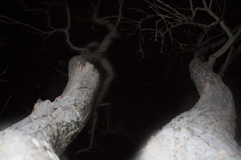 © SARAB COLLECTIVE  - Image from the insomnia photography project