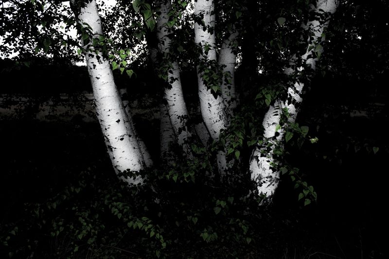 © SARAB COLLECTIVE  - Image from the insomnia photography project