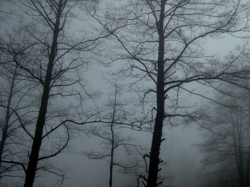 © SARAB COLLECTIVE  - Image from the insomnia photography project