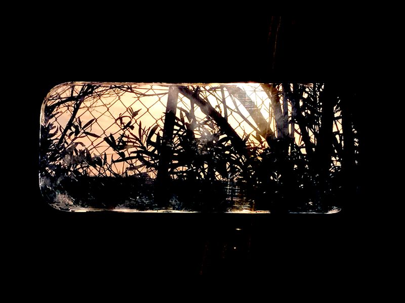 © SARAB COLLECTIVE  - Image from the insomnia photography project