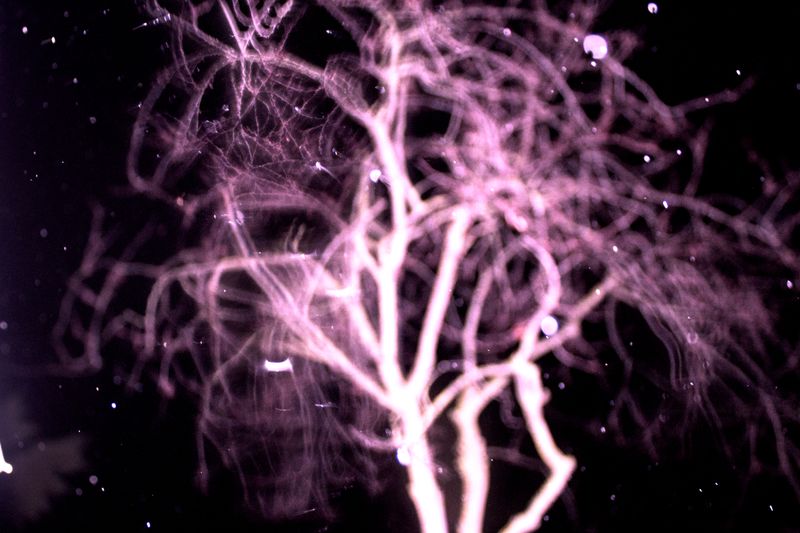 © SARAB COLLECTIVE  - Image from the insomnia photography project