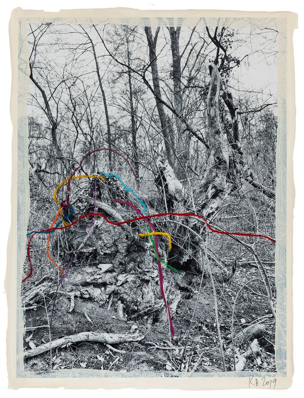 © Regina Anzenberger - Image from the SHIFTING ROOTS photography project