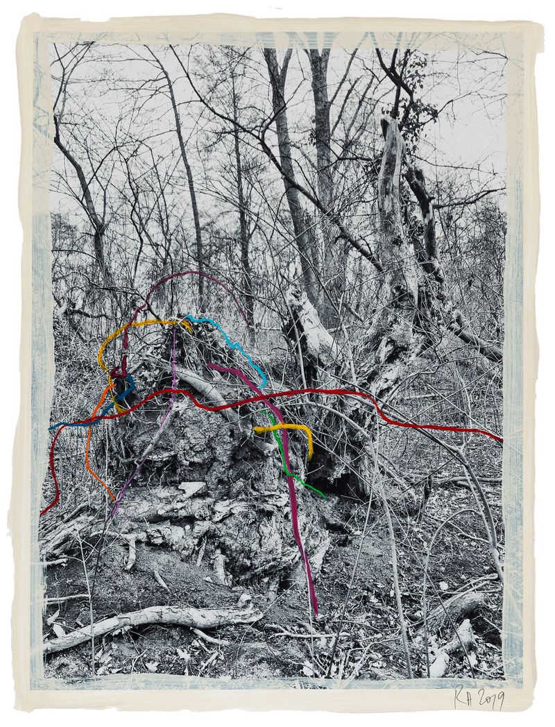 © Regina Anzenberger - Image from the SHIFTING ROOTS photography project