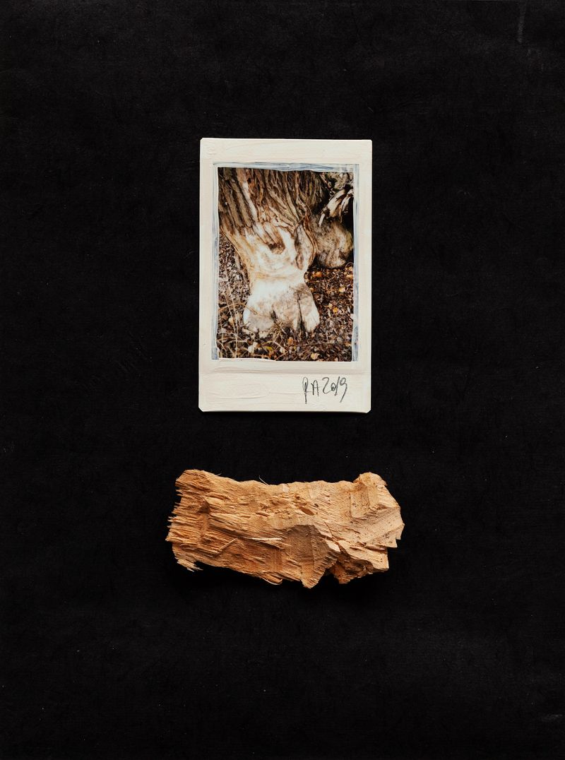 © Regina Anzenberger - Image from the SHIFTING ROOTS photography project