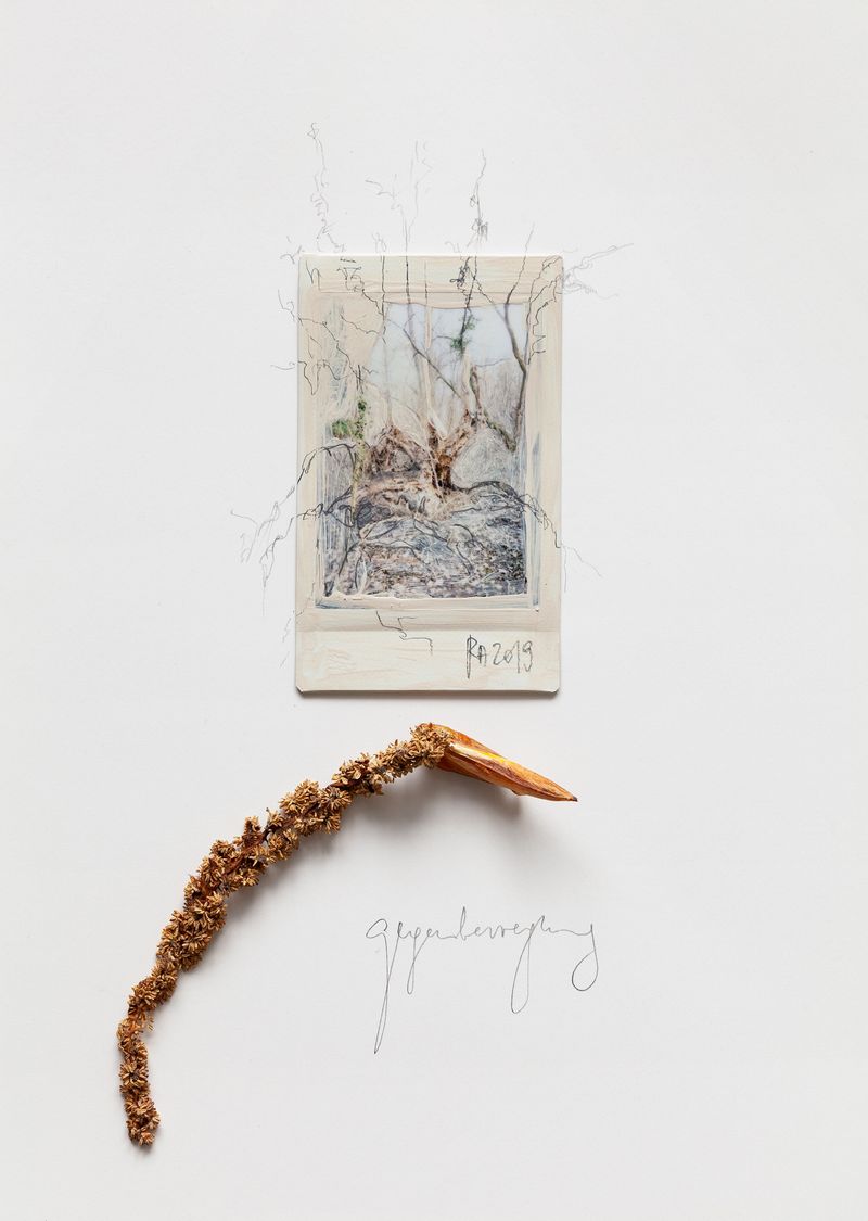 © Regina Anzenberger - Image from the SHIFTING ROOTS photography project