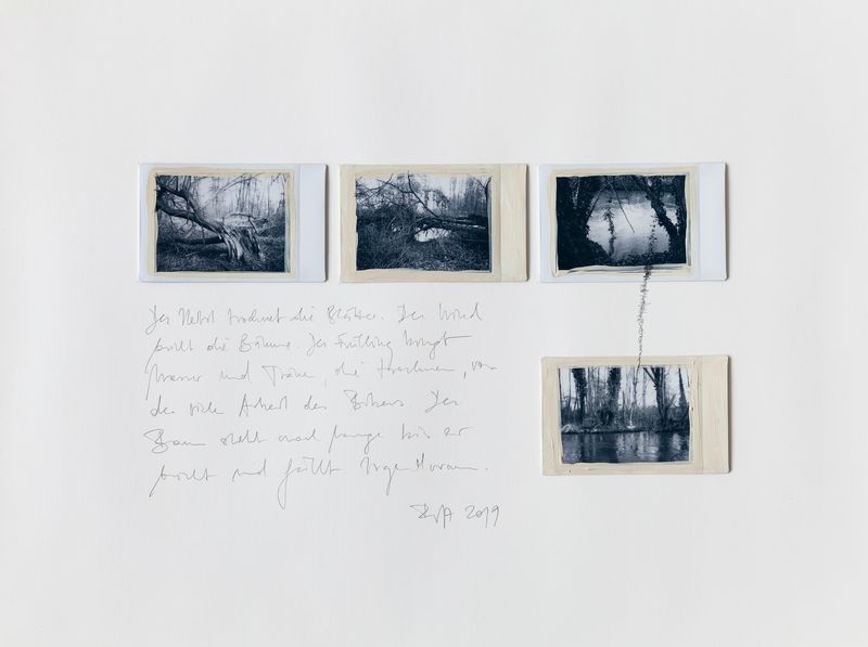 © Regina Anzenberger - Image from the SHIFTING ROOTS photography project