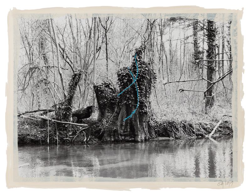 © Regina Anzenberger - Image from the SHIFTING ROOTS photography project