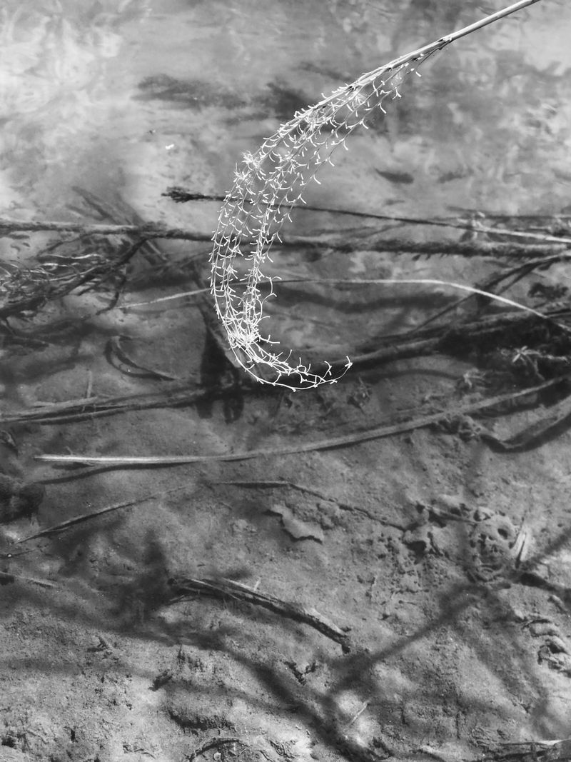 © Regina Anzenberger - Image from the SHIFTING ROOTS photography project