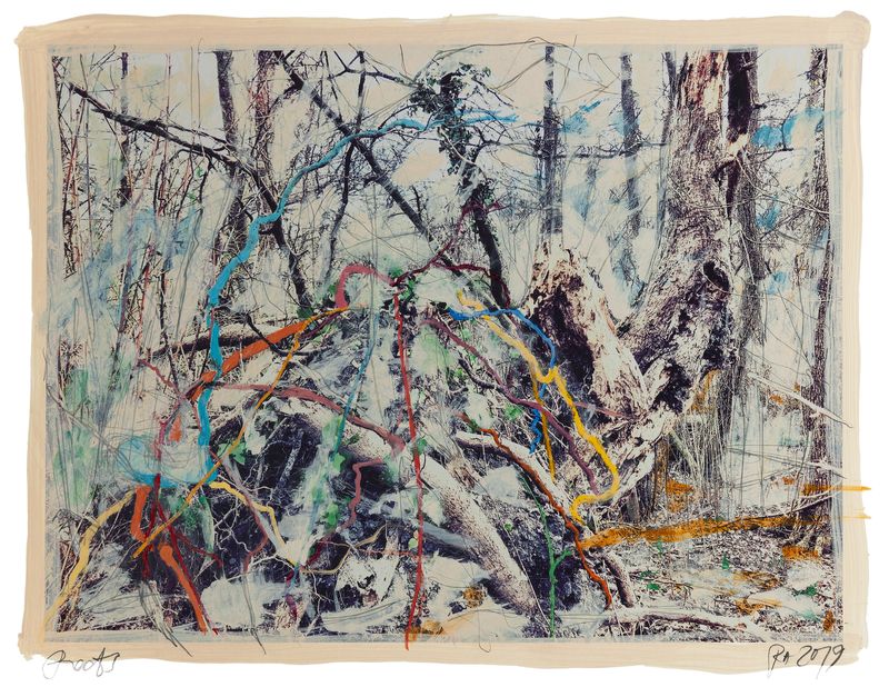 © Regina Anzenberger - Image from the SHIFTING ROOTS photography project