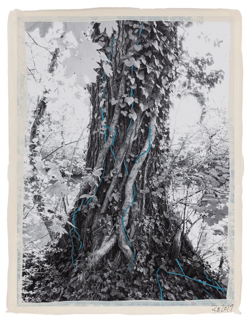 © Regina Anzenberger - Image from the SHIFTING ROOTS photography project