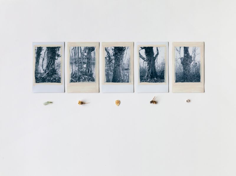 © Regina Anzenberger - Image from the SHIFTING ROOTS photography project