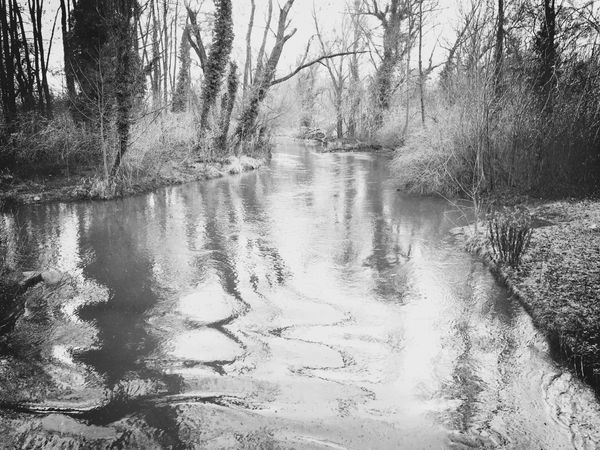 © Regina Anzenberger - Image from the SHIFTING ROOTS photography project