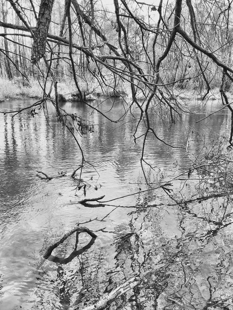 © Regina Anzenberger - Image from the SHIFTING ROOTS photography project