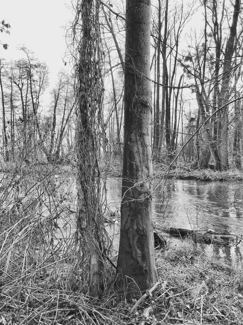 © Regina Anzenberger - Image from the SHIFTING ROOTS photography project