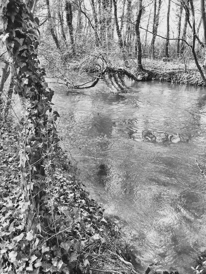 © Regina Anzenberger - Image from the SHIFTING ROOTS photography project