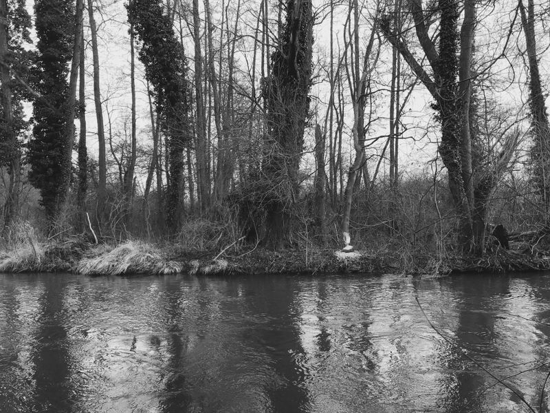 © Regina Anzenberger - Image from the SHIFTING ROOTS photography project