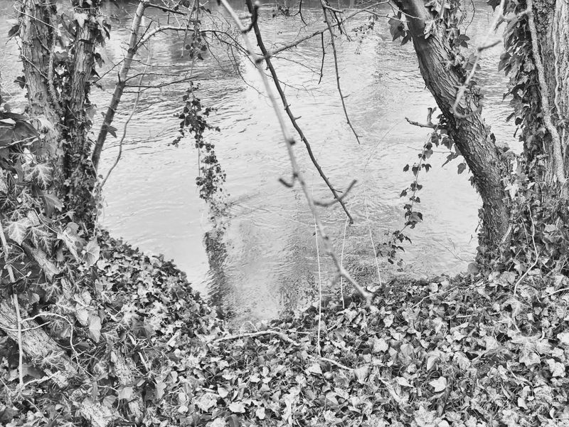 © Regina Anzenberger - Image from the SHIFTING ROOTS photography project