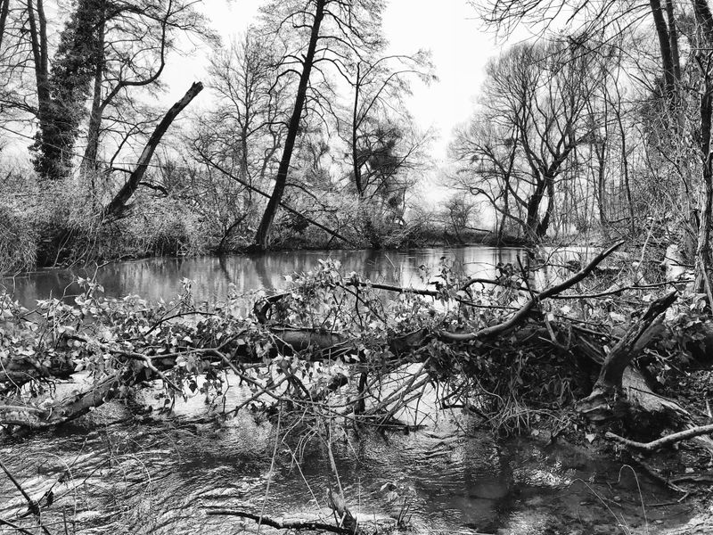 © Regina Anzenberger - Image from the SHIFTING ROOTS photography project