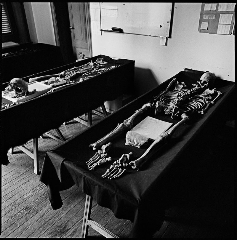 © João Pina - Image from the Argentina's dirty war photography project