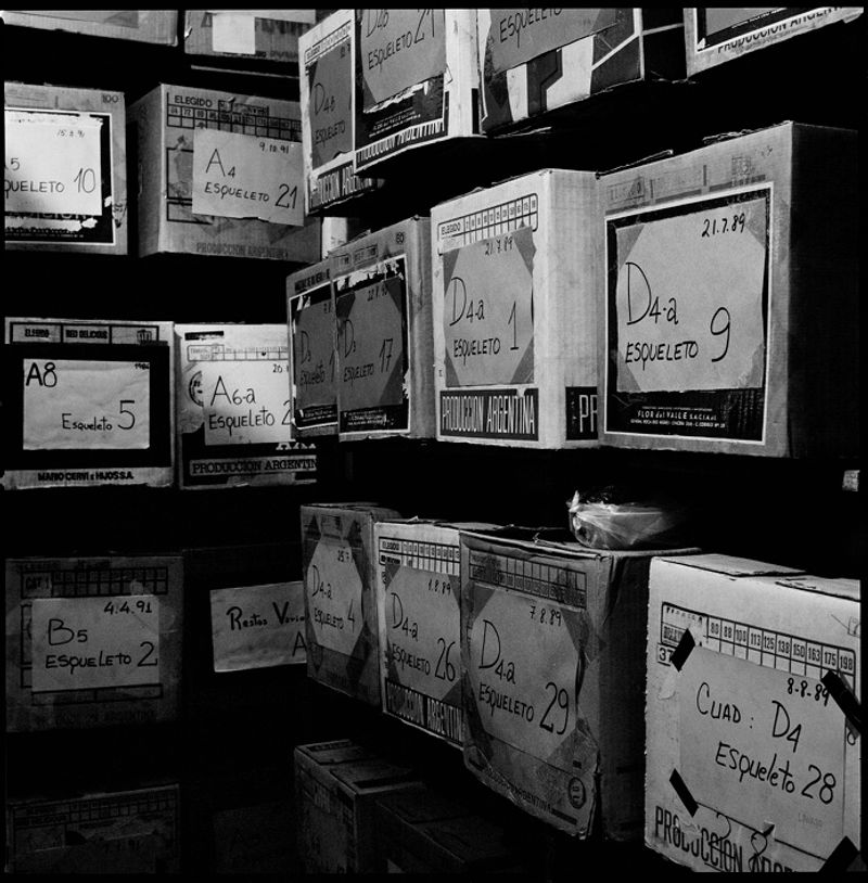 © João Pina - Image from the Argentina's dirty war photography project