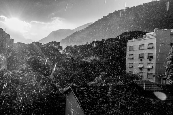 © João Pina - View of the Atlantic Forest during a heavy summer rainfall, near the Jardim Botânico neighborhood. February 2016.