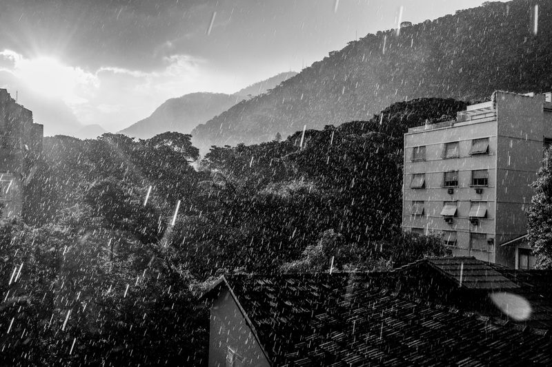 © João Pina - View of the Atlantic Forest during a heavy summer rainfall, near the Jardim Botânico neighborhood. February 2016.