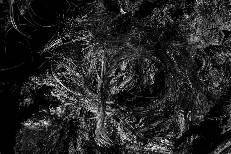 © João Pina - Image from the 46750 photography project