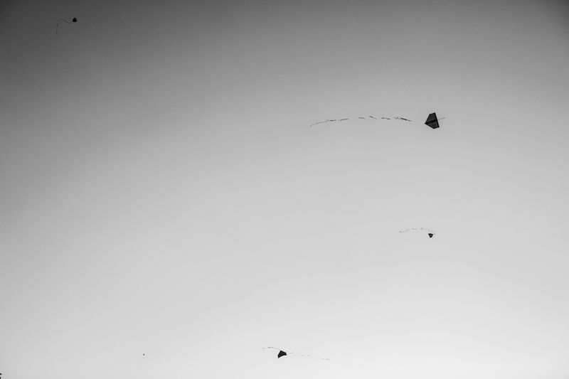 © João Pina - Kites flying during a “kite battle” in Complexo do Alemão. July 2011.