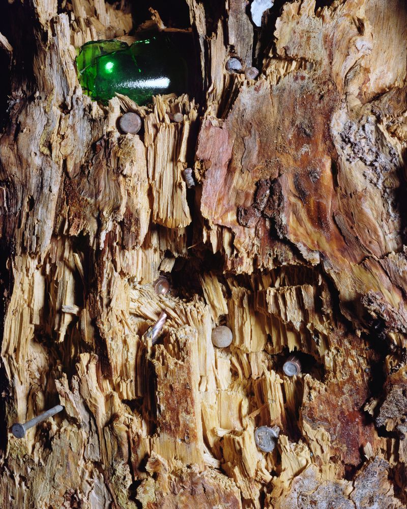 © Jennifer Ray - Bullet Riddled, 279cm x 224cm (wall vinyl)