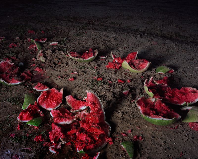 © Jennifer Ray - Watermelon Carnage, 101cm x 127cm