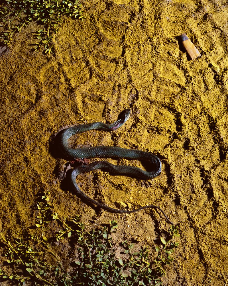© Jennifer Ray - Tread/Trod, 127cm x 101cm