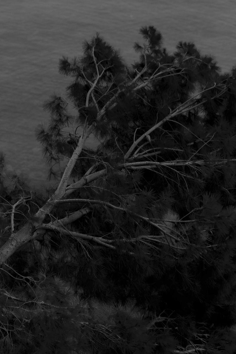 © gioia alikaj - Image from the Todo Huele a tierra y a sangre photography project