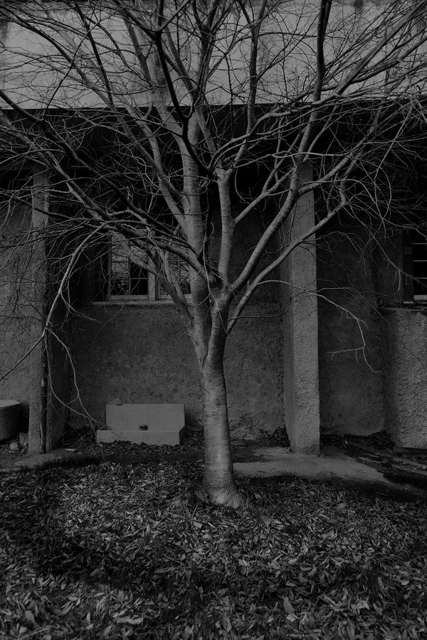 © gioia alikaj - Image from the Todo Huele a tierra y a sangre photography project