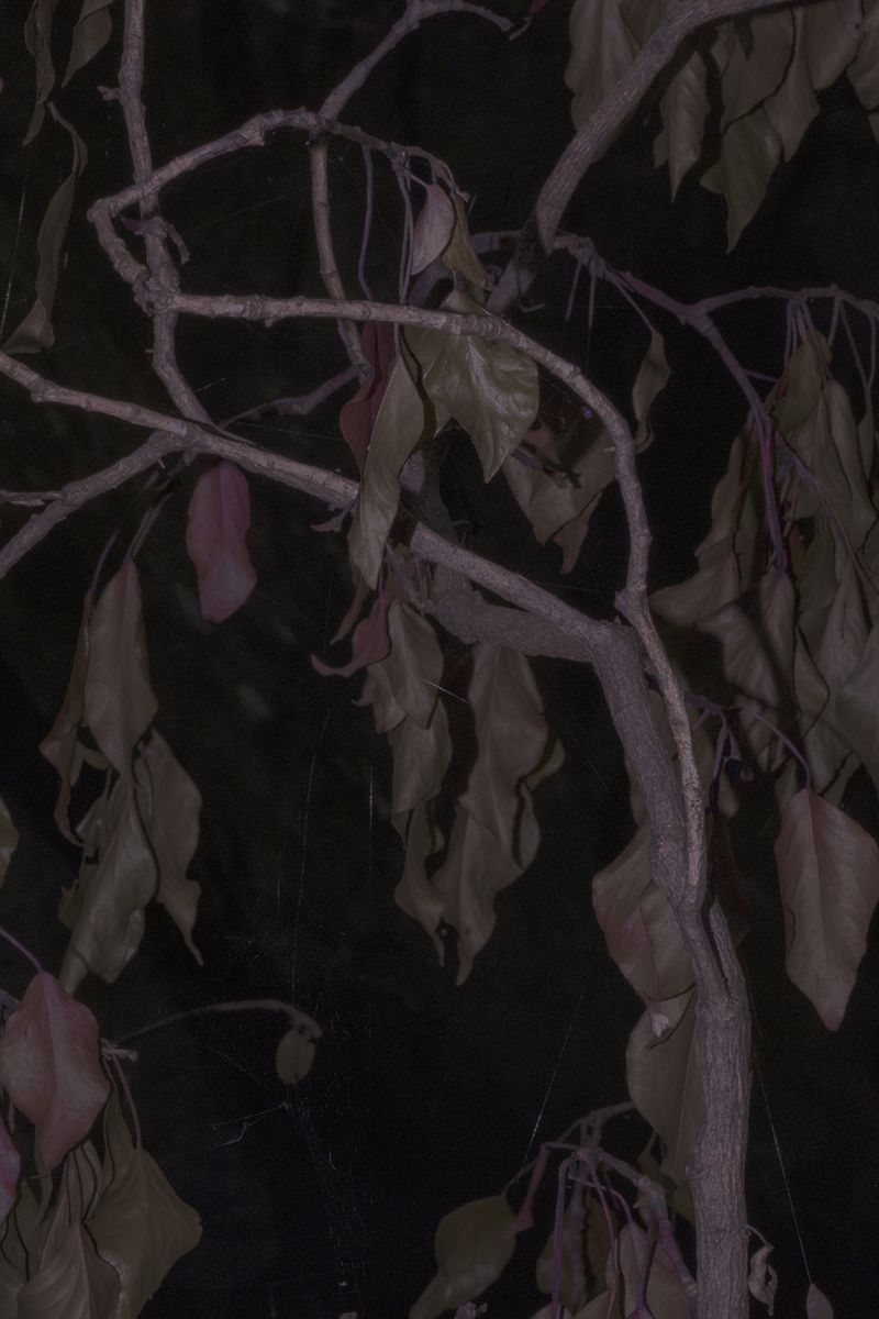 © gioia alikaj - Image from the Todo Huele a tierra y a sangre photography project