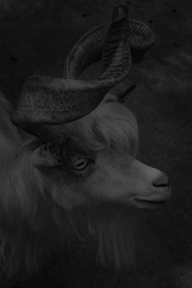 © gioia alikaj - Image from the Todo Huele a tierra y a sangre photography project