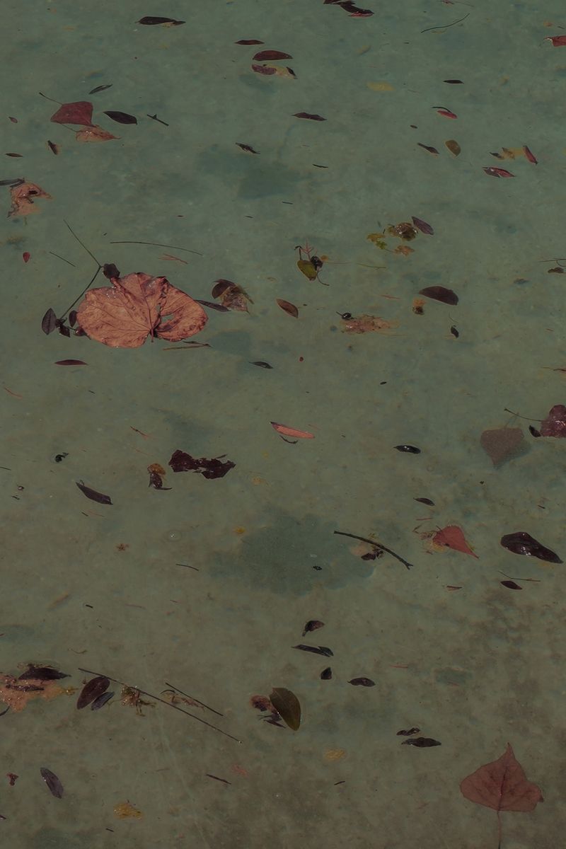 © gioia alikaj - Image from the Todo Huele a tierra y a sangre photography project
