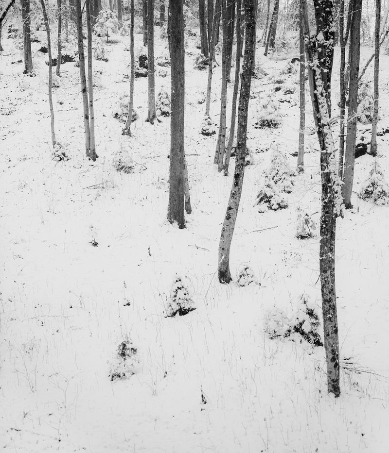 © Jošt Dolinšek - Image from the To Move The Sun and Earth Away photography project