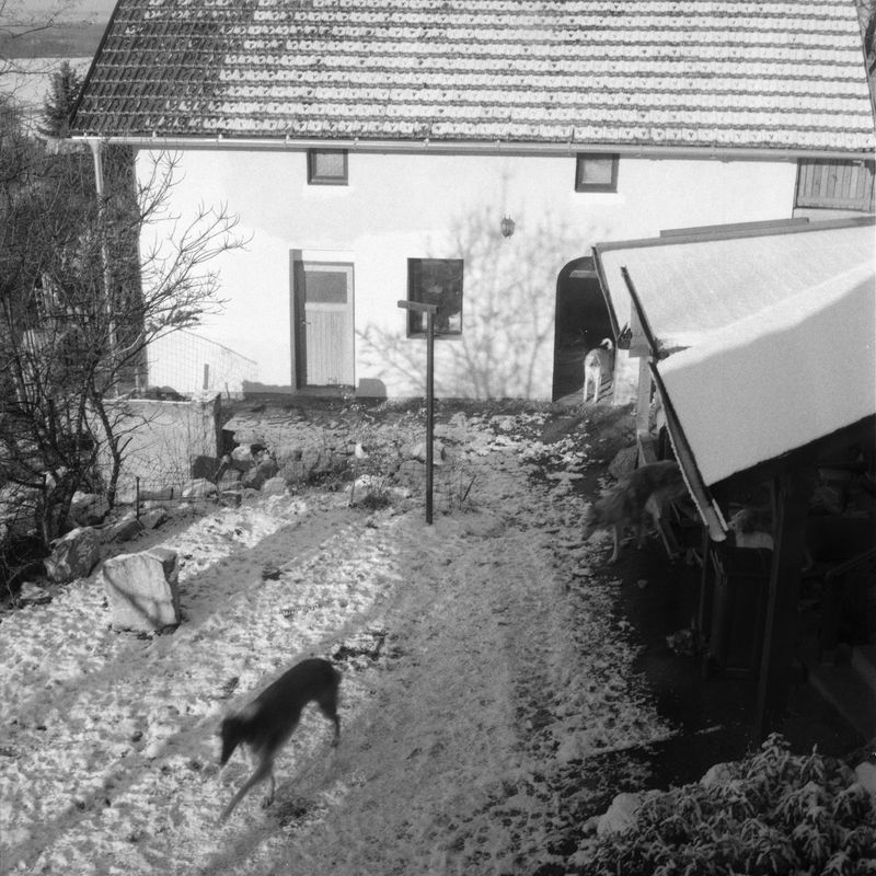 © Adam Kencki - Image from the house at hundred cats photography project
