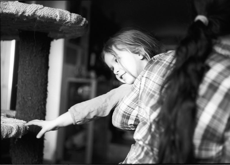 © Adam Kencki - Image from the house at hundred cats photography project