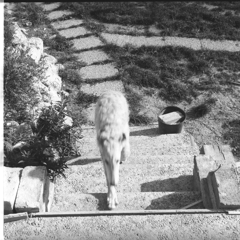 © Adam Kencki - Image from the house at hundred cats photography project