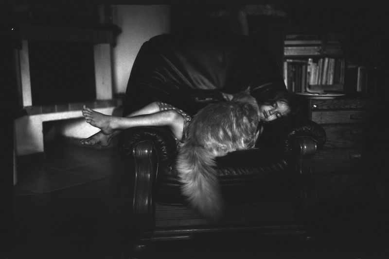 © Adam Kencki - Image from the house at hundred cats photography project