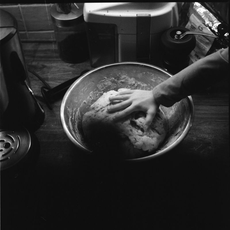 © Adam Kencki - Image from the house at hundred cats photography project