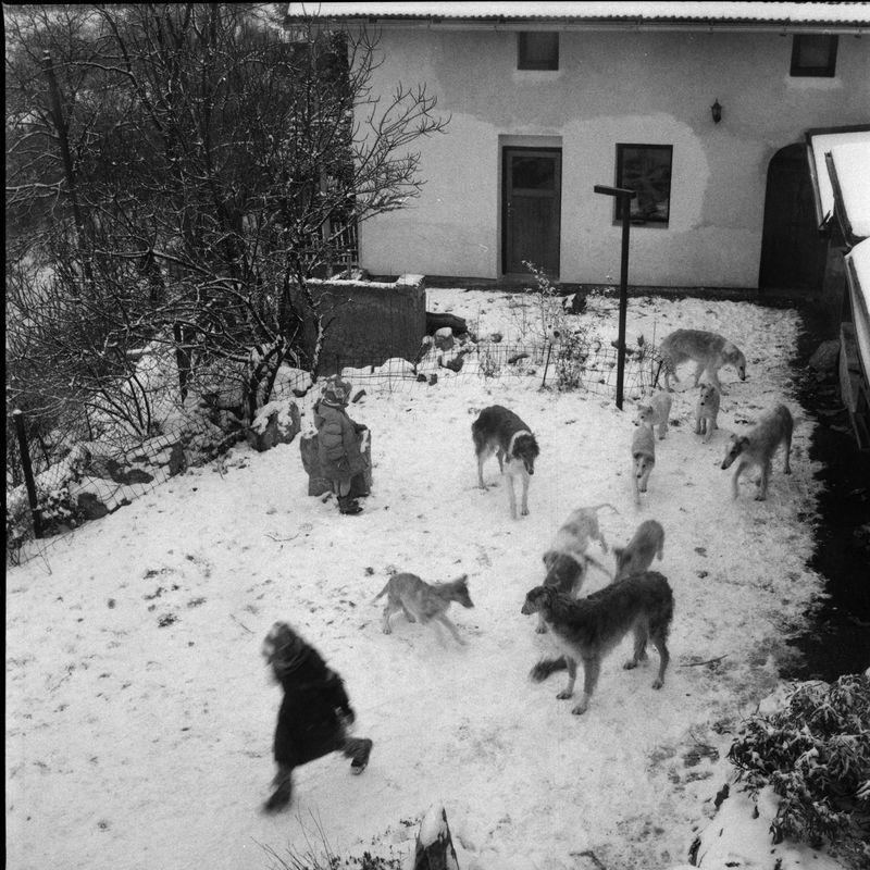 © Adam Kencki - Image from the house at hundred cats photography project